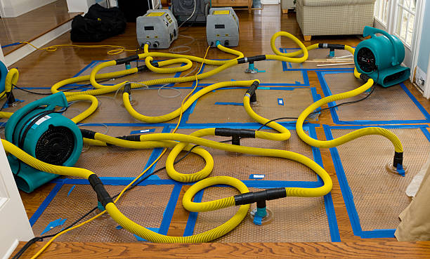 Professional Water Extraction technician working in Trenton, MI