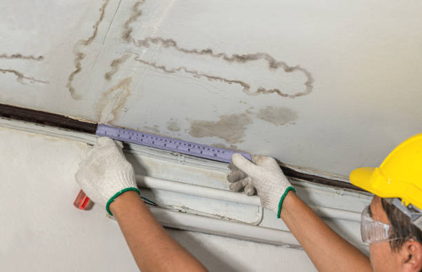 Affordable Water Damage Repair solutions in Trenton, MI